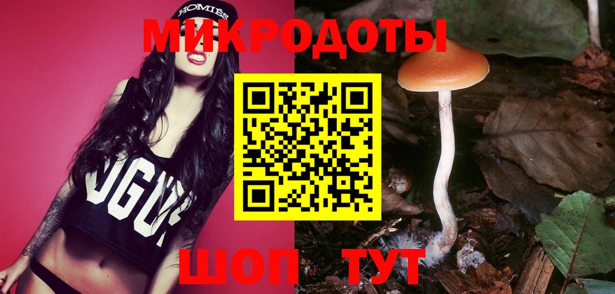 Псилоцибиновые грибы Psilocybine cubensis  Вход с VPN  Находка 