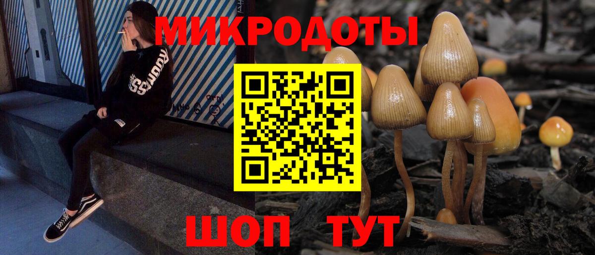 Галлюциногенные грибы Magic Shrooms Находка